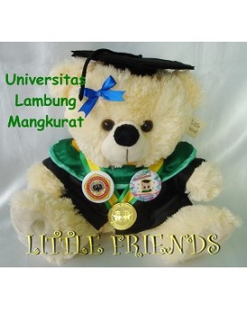 Boneka Wisuda Universitas Lambung Mangkurat - Perawat (30 cm)
